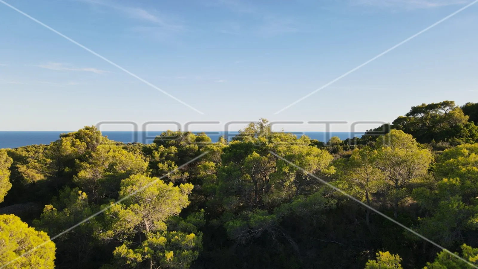 zemljište 4.105 m2, pravilan oblik i otovoren pogled na more, otok vis - slika 2