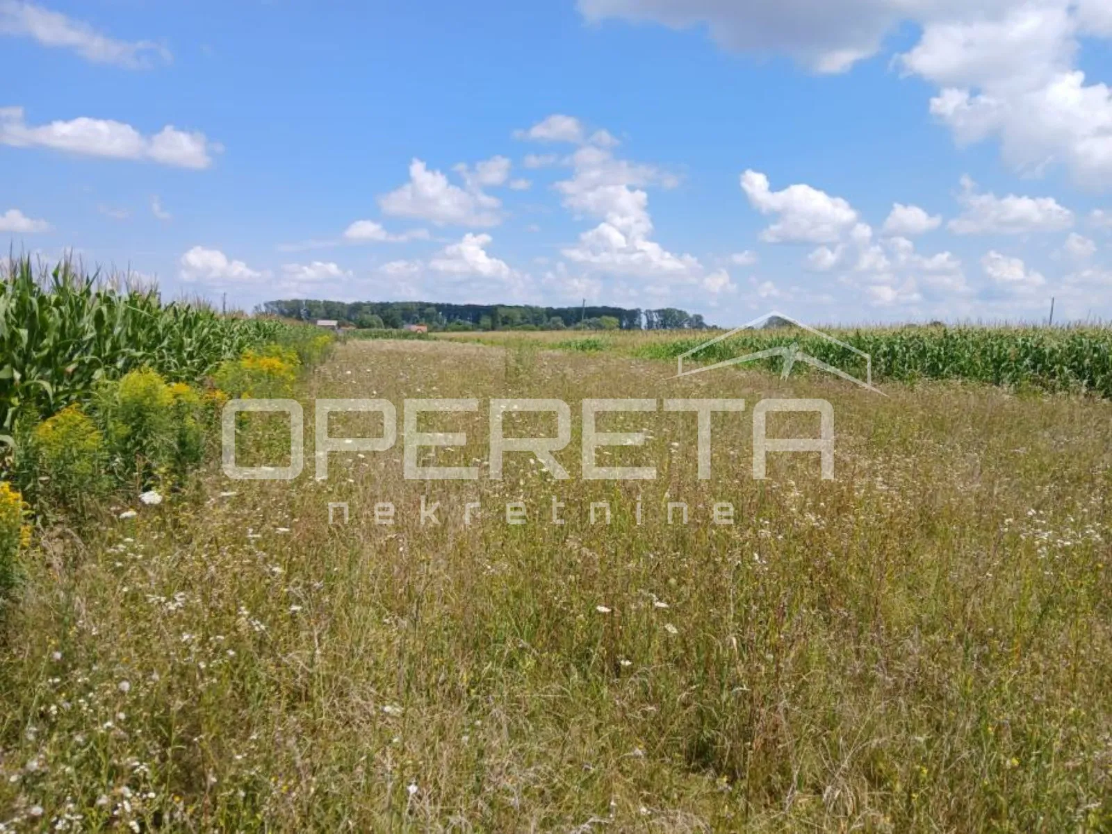 bukevje, bukevje, 3.200,00 m2, 60.000,00 eur - slika 2