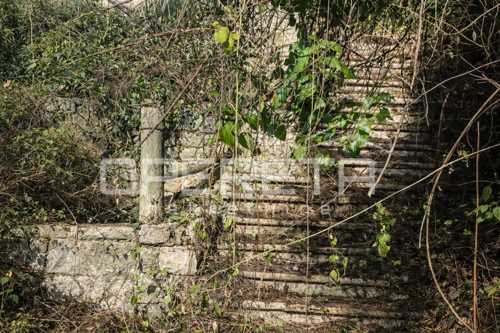 renesansni ljetnikovac na ombli, kraj dubrovnika - slika 10