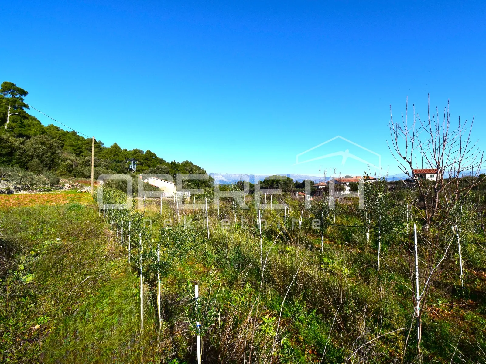 rijetka prilika – zemljište 3.112 m², dol, otok hvar - slika 16