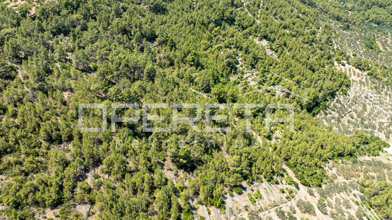 poljoprivredno zemljište,8956m2, u prirodnom okruženju – vela luka - slika 4