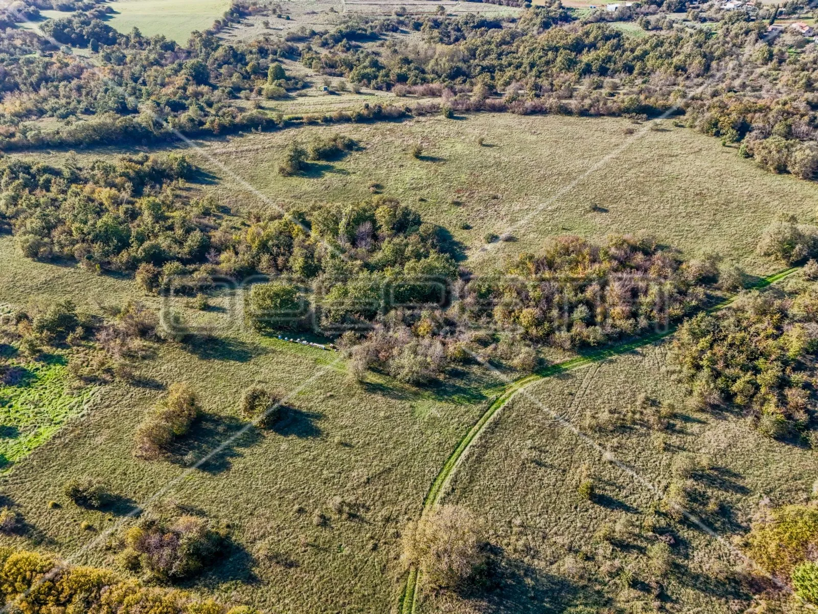prostrano poljoprivredno zemljište 67900m2 marčana - slika 6