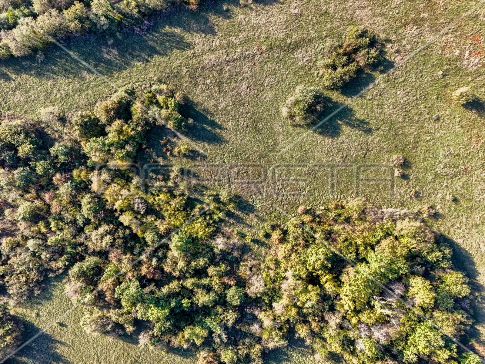 prostrano poljoprivredno zemljište 67900m2 marčana - slika 2