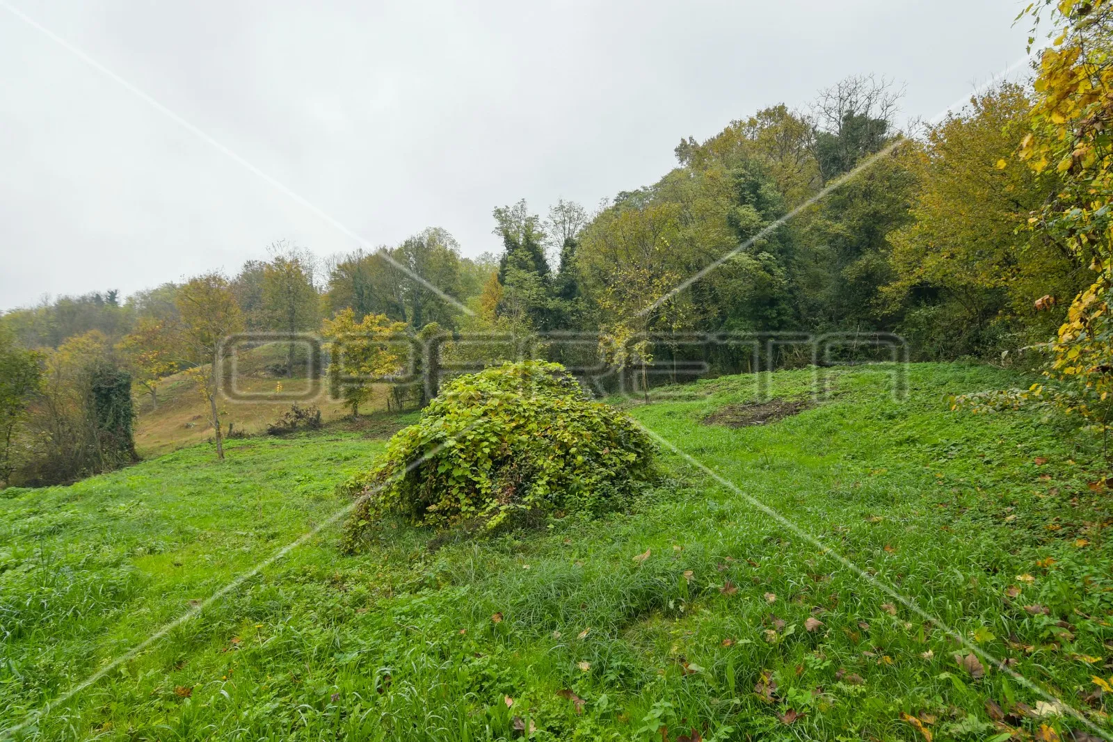 kureljeva ulica, oroslavje, 2.762,00 m2, 45.000,00 eur - slika 14