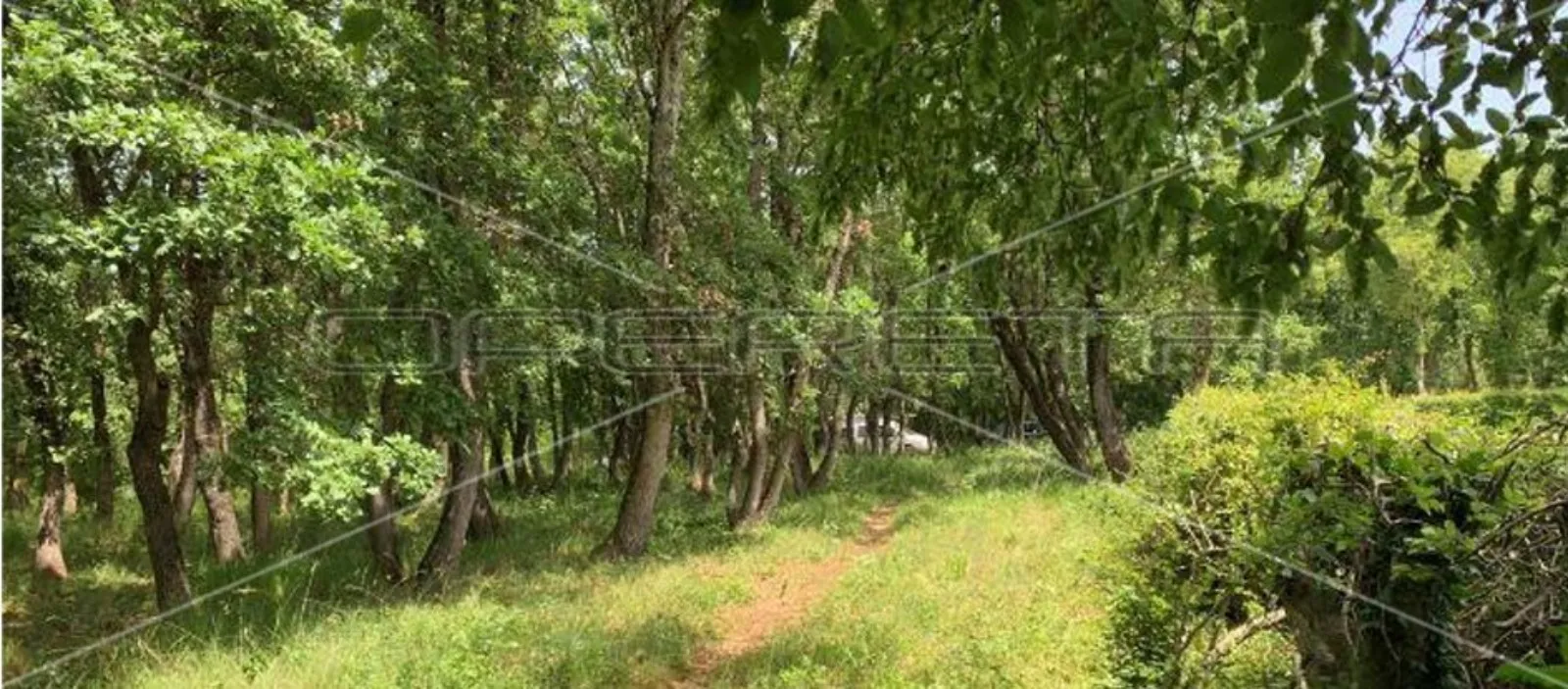 kršete, kršete, 22.586,00 m2, 490.000,00 eur - slika 10