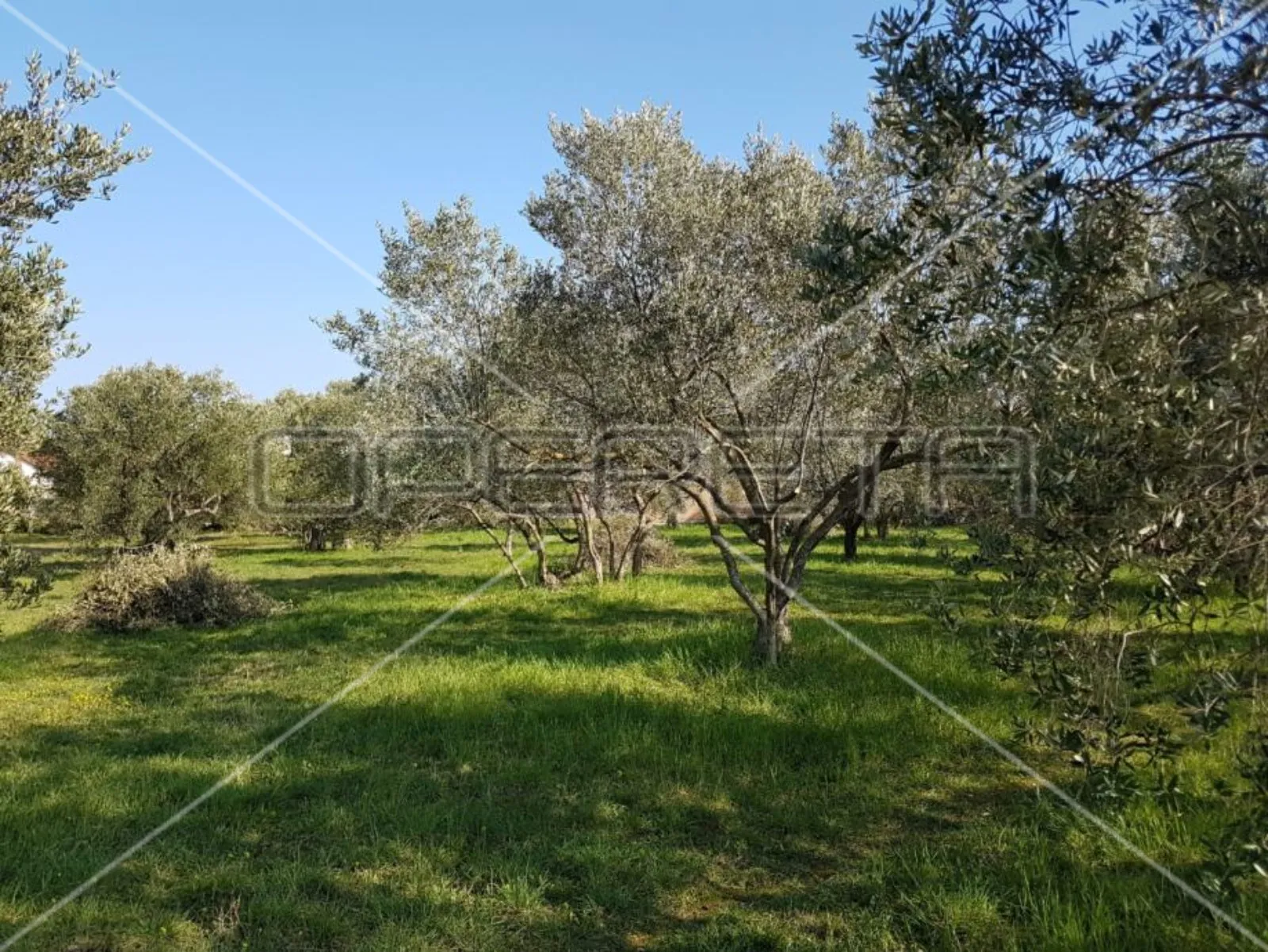 Građevinsko zemljište, 961 m2, do mora 700 m, Sukošan, Zadar