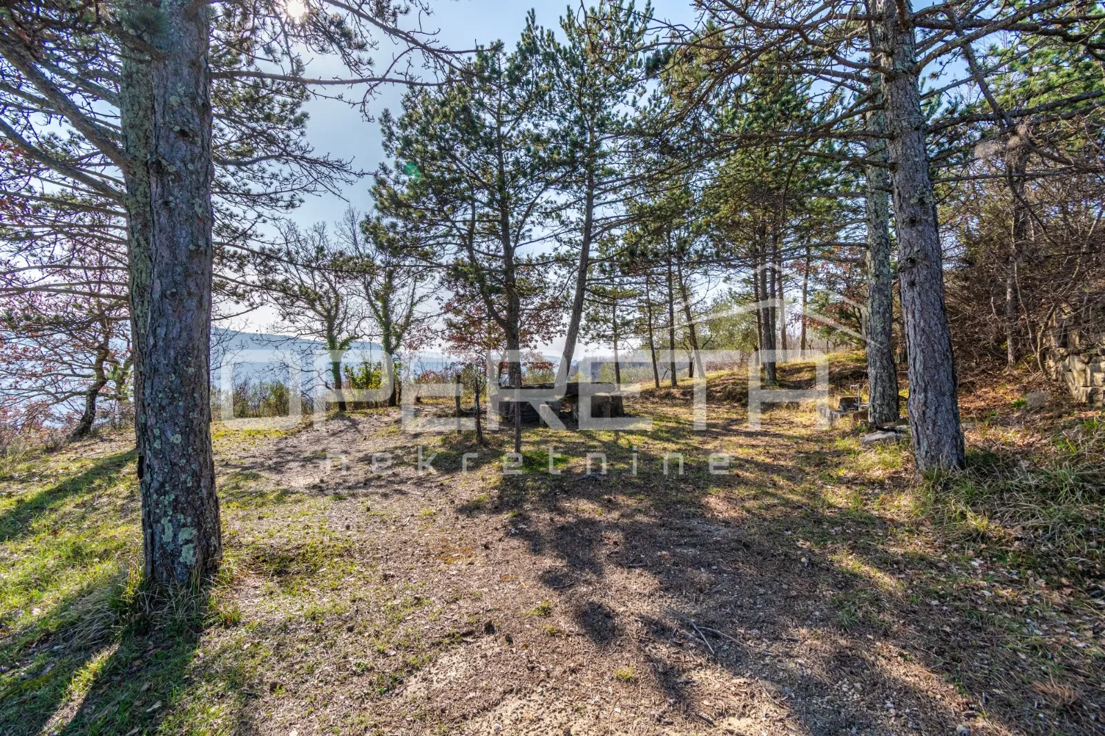 veliko imanje od 170 000 m2 s predivnim pogledom - slika 17