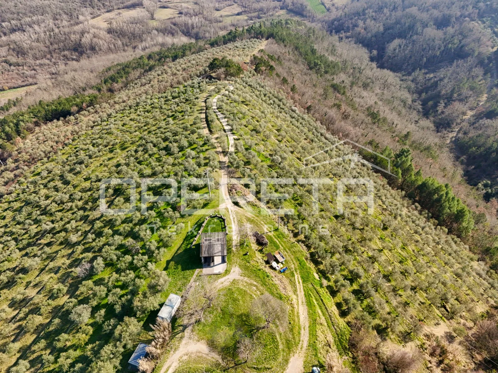 veliko imanje od 170 000 m2 s predivnim pogledom - slika 11