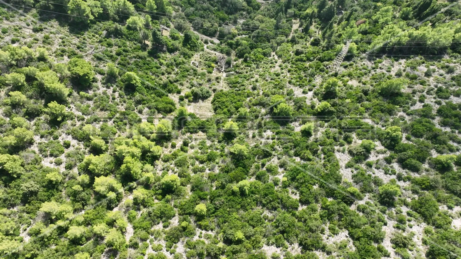 zemljište 51.000 m2 s pogledom na more, čara, korčula - slika 12