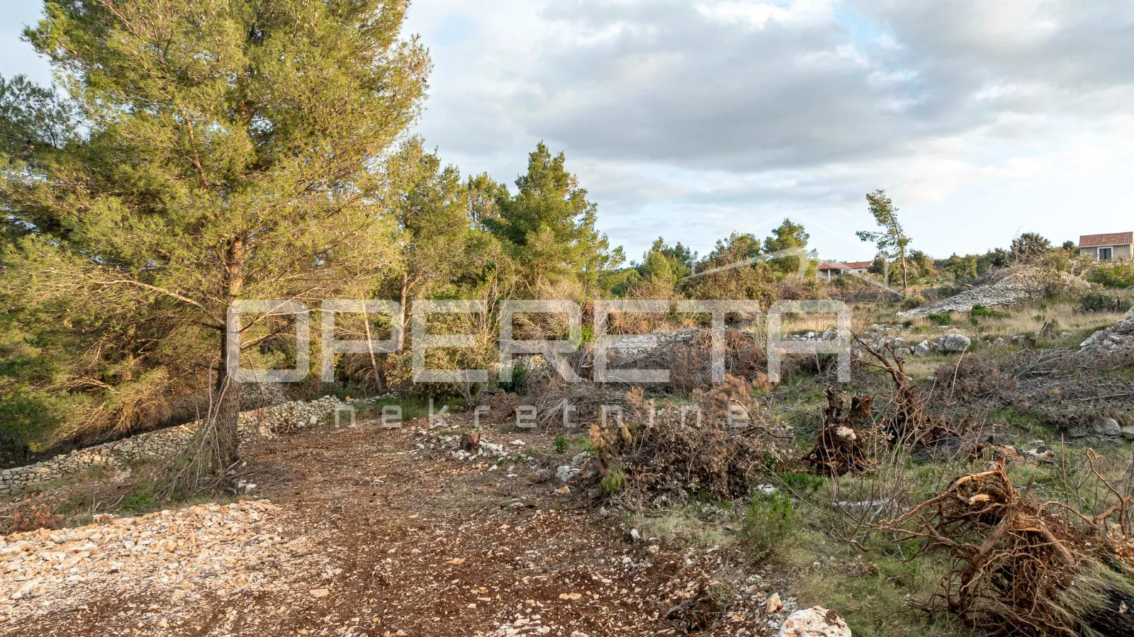 poljoprivredno zemljište od 8172 m2, otok brač - slika 11