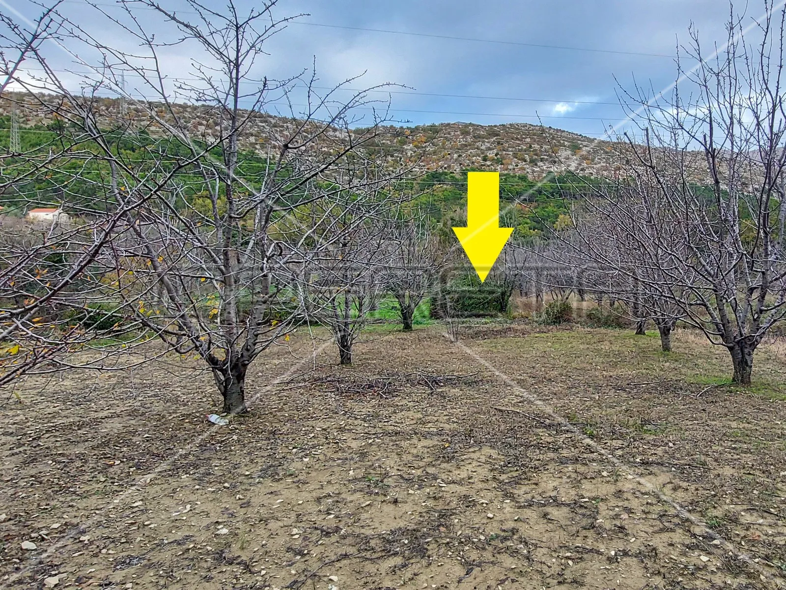 tugare, naklice, poljoprivredno zemljište, 332 m2 - slika 3