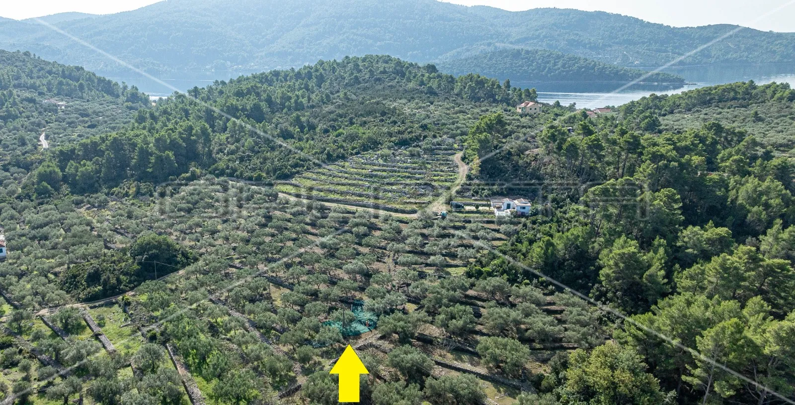 poljoprivredno zemljište na korčuli – 14.406 m2 za razvoj i ulaganje - slika 10