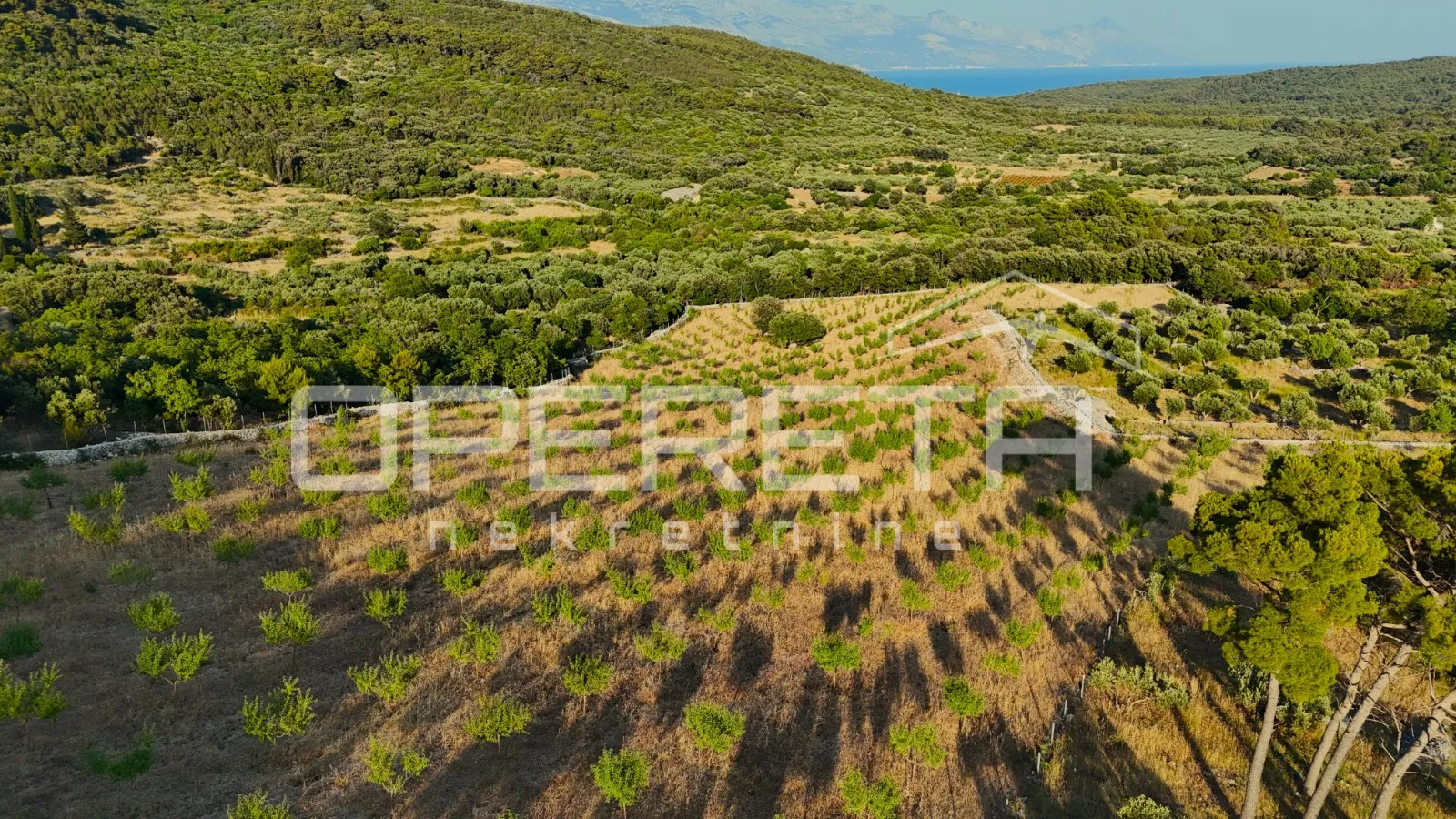 poljoprivredno zemljište s 500 badema i pogledom na more, brač - slika 9