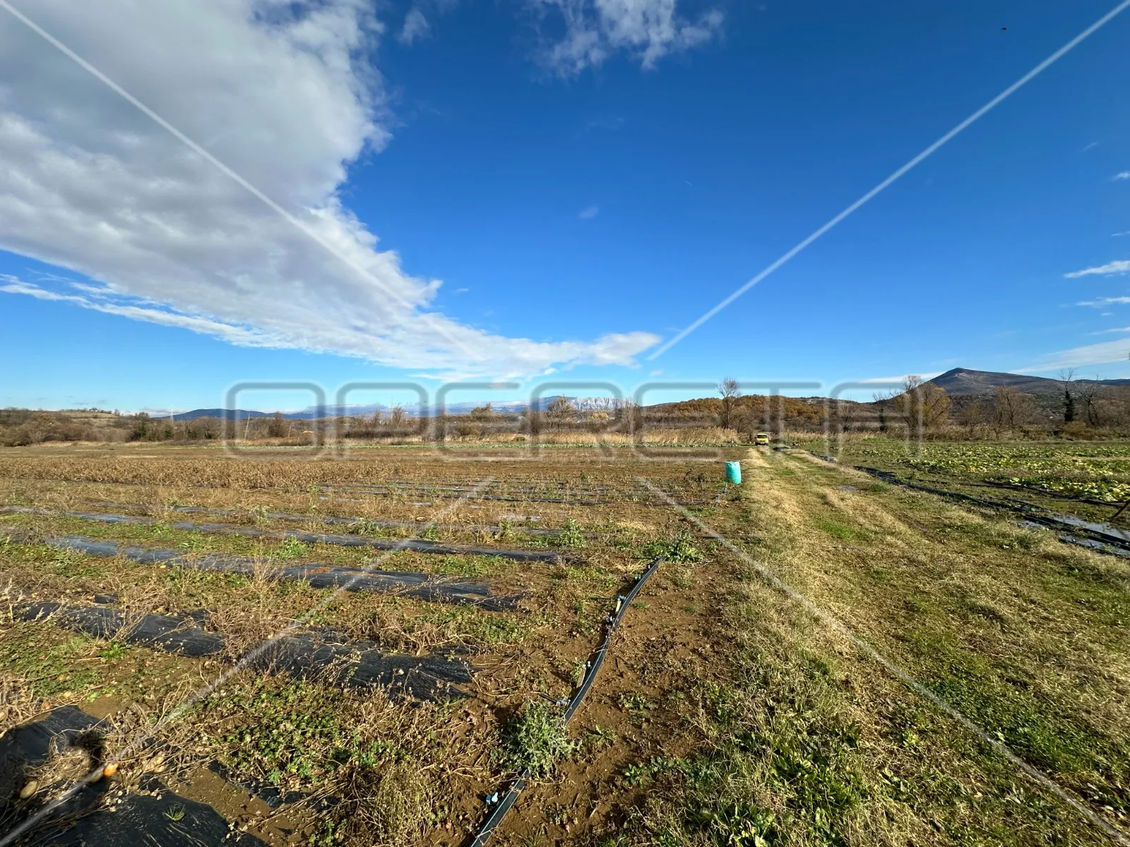 poljoprivredno zemljište uz obalu rijeke kosovčice, 96040 m2 - slika 8