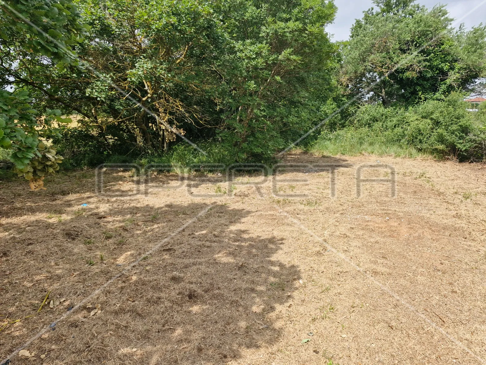 jadreški, poljoprivredno zemljište 600m2, na mirnoj lokaciji, u blizini kuća - slika 8