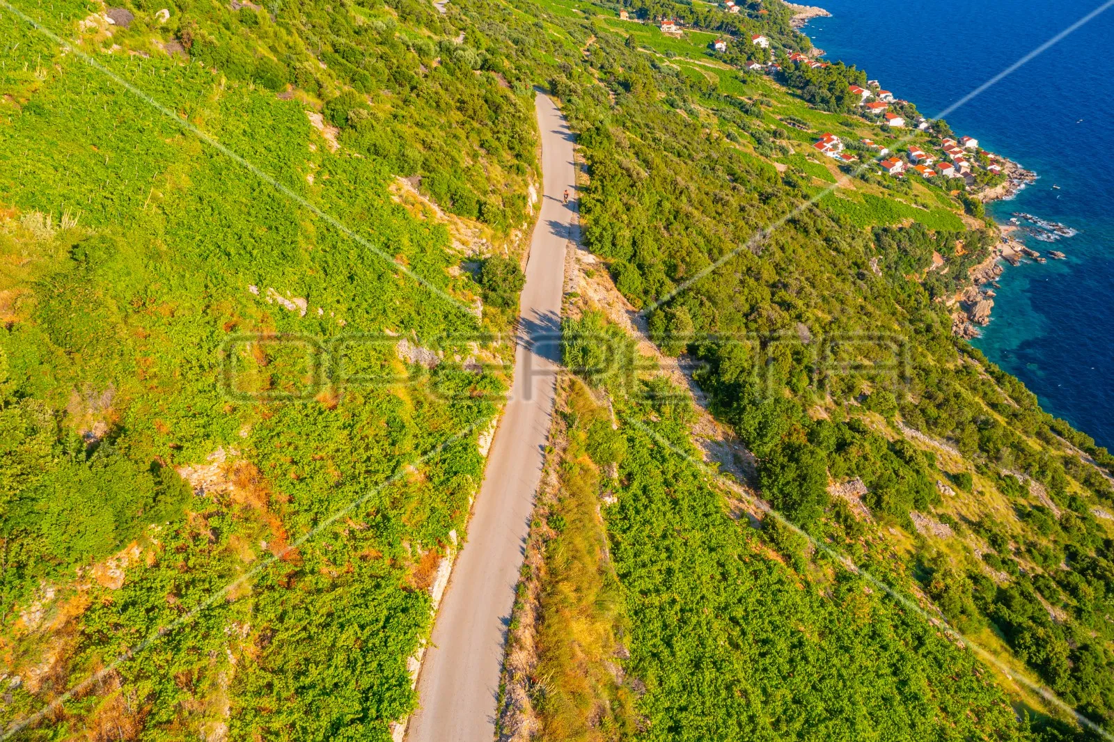 zemljište, 12.257 m2, dingač, pelješac, 40 eur/m2 - slika 9