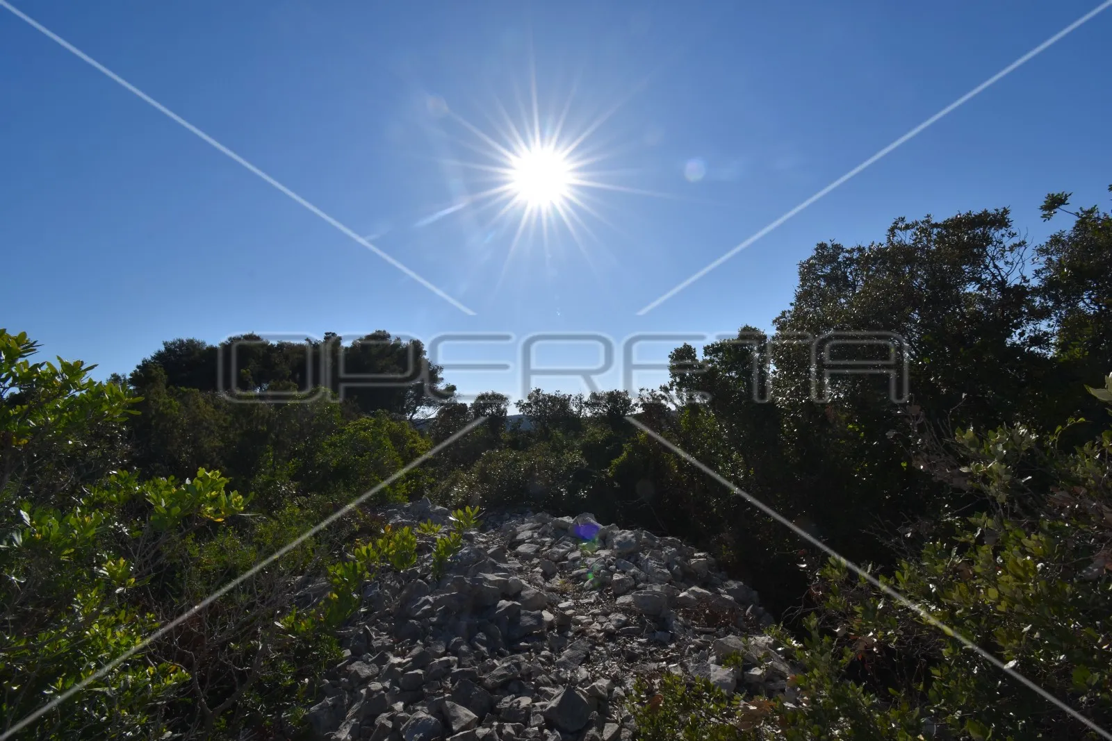 građevinsko zemljište, 2.709 m2, m1 namjena, pogled na more, nečujam, otok šolta - slika 13
