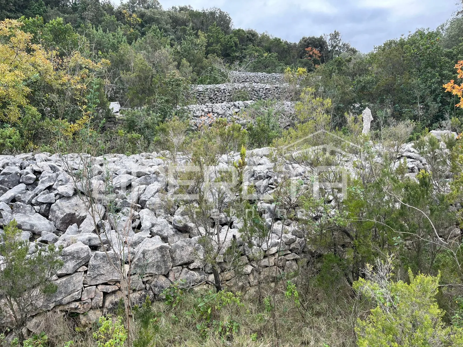 poljoprivredno zemljište s potencijalom – 9435 m2 u srcu prirode - slika 11