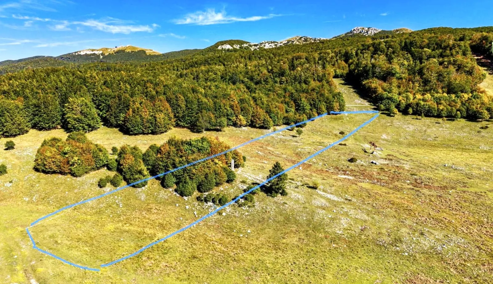 platak, soboli, 6.349,00 m2, 675.000,00 eur - slika 4