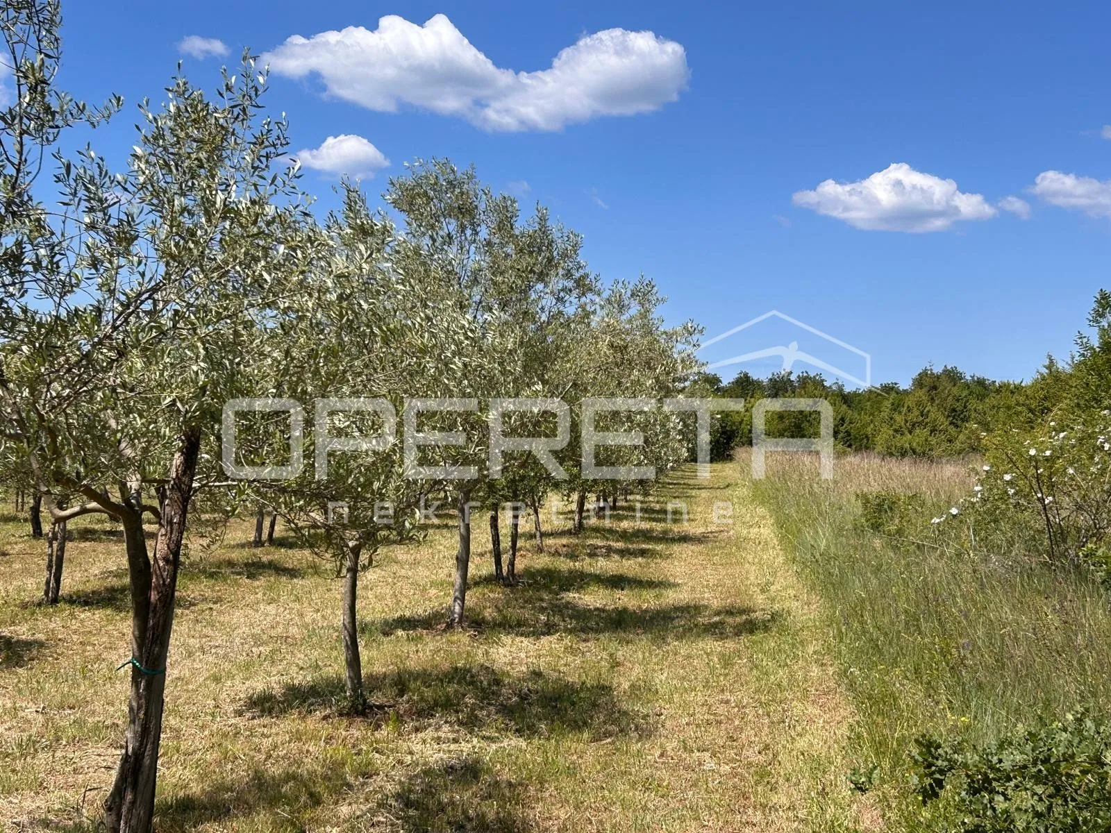 juršići, juršići, 2.449,00 m2, 83.000,00 eur - slika 5
