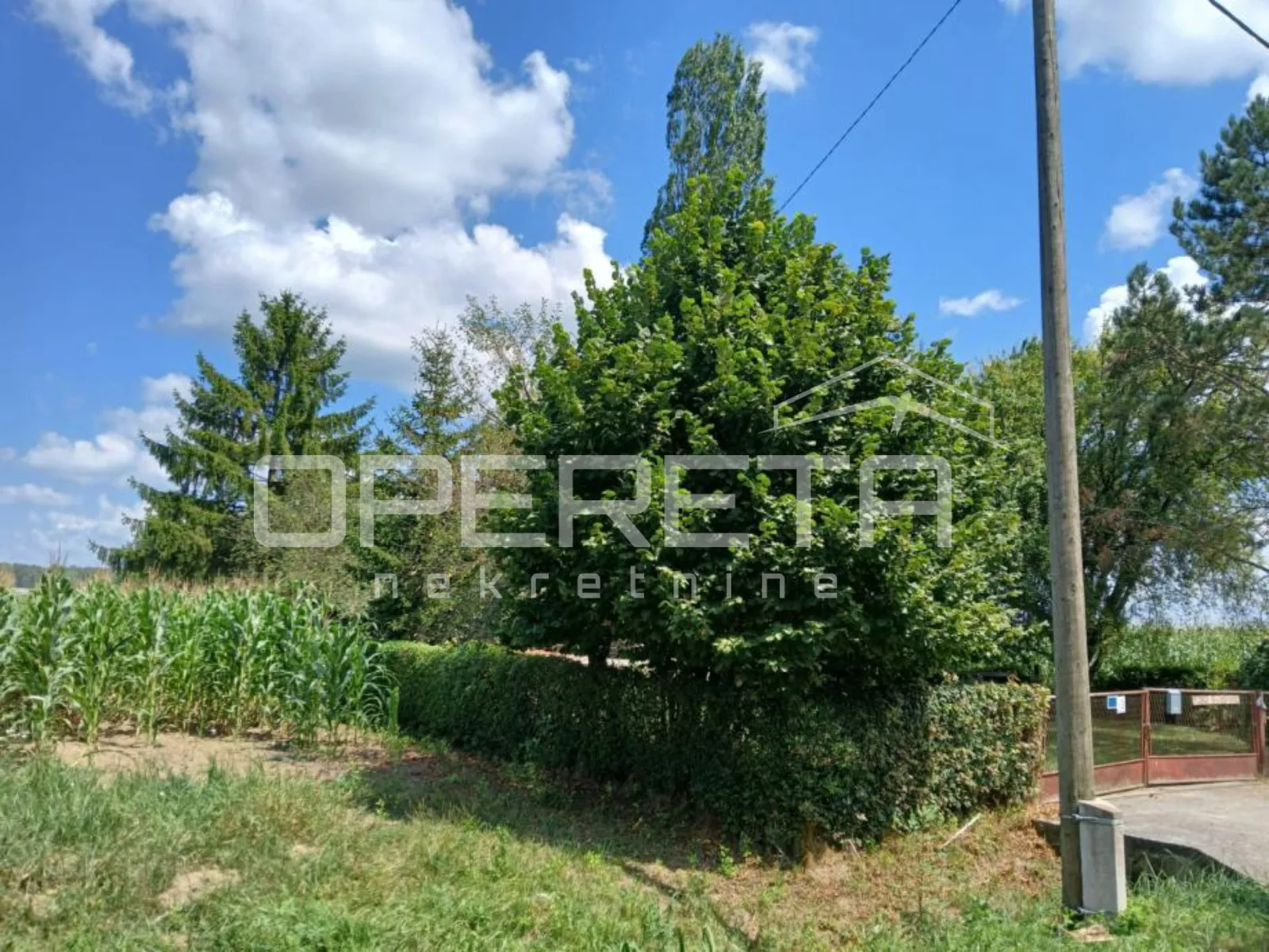 bukevje, bukevje, 3.200,00 m2, 60.000,00 eur - slika 3