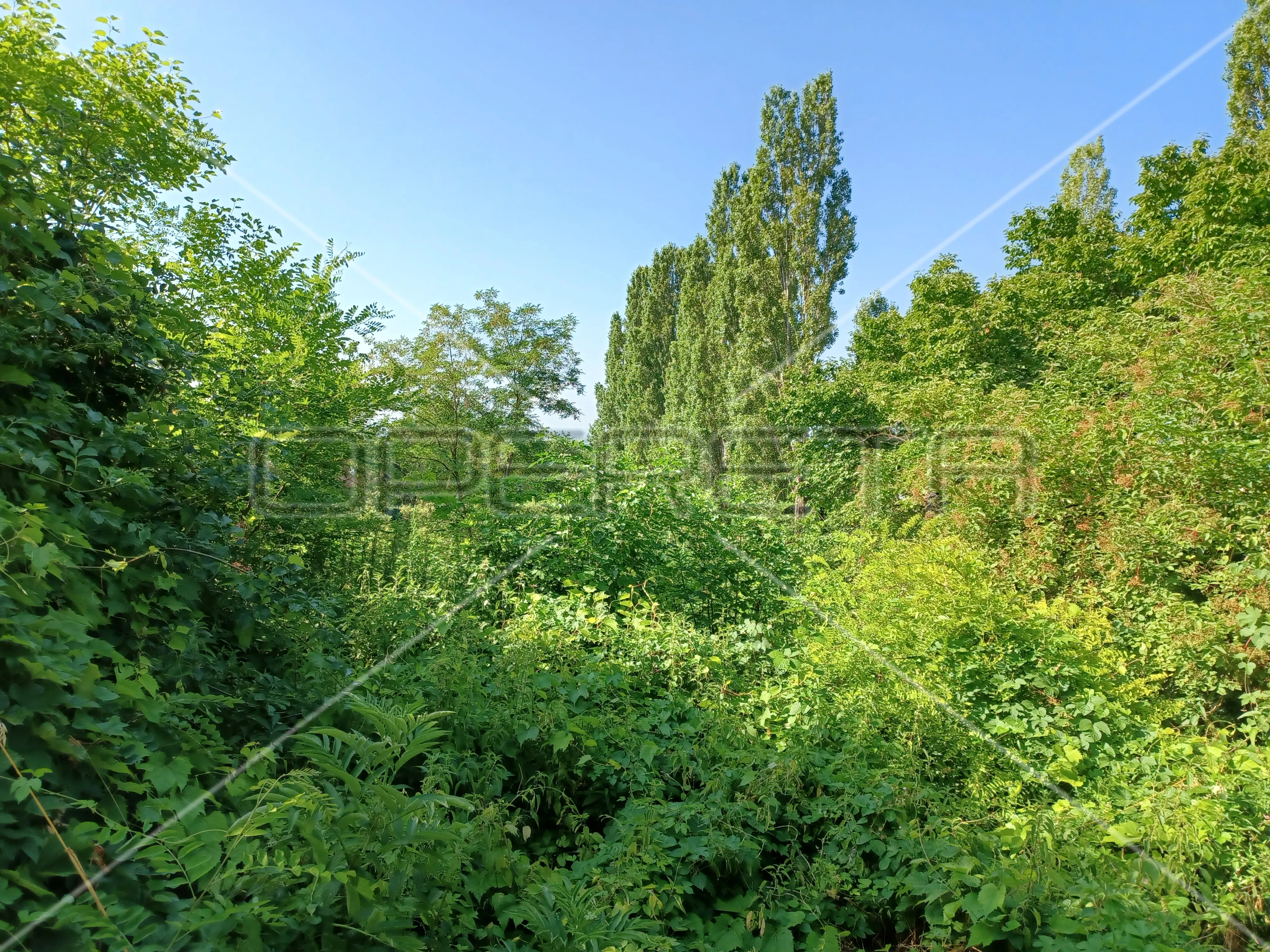 perjavica, gornji stenjevec, 2.910,00 m2, 257.500,00 eur - slika 2