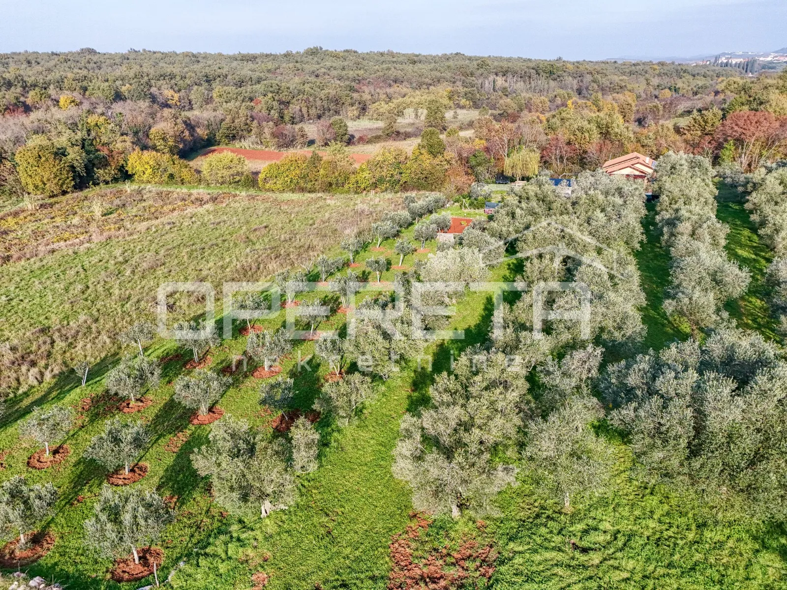 istra, lovrečica- građevinsko zemljište 683 m2 - slika 6