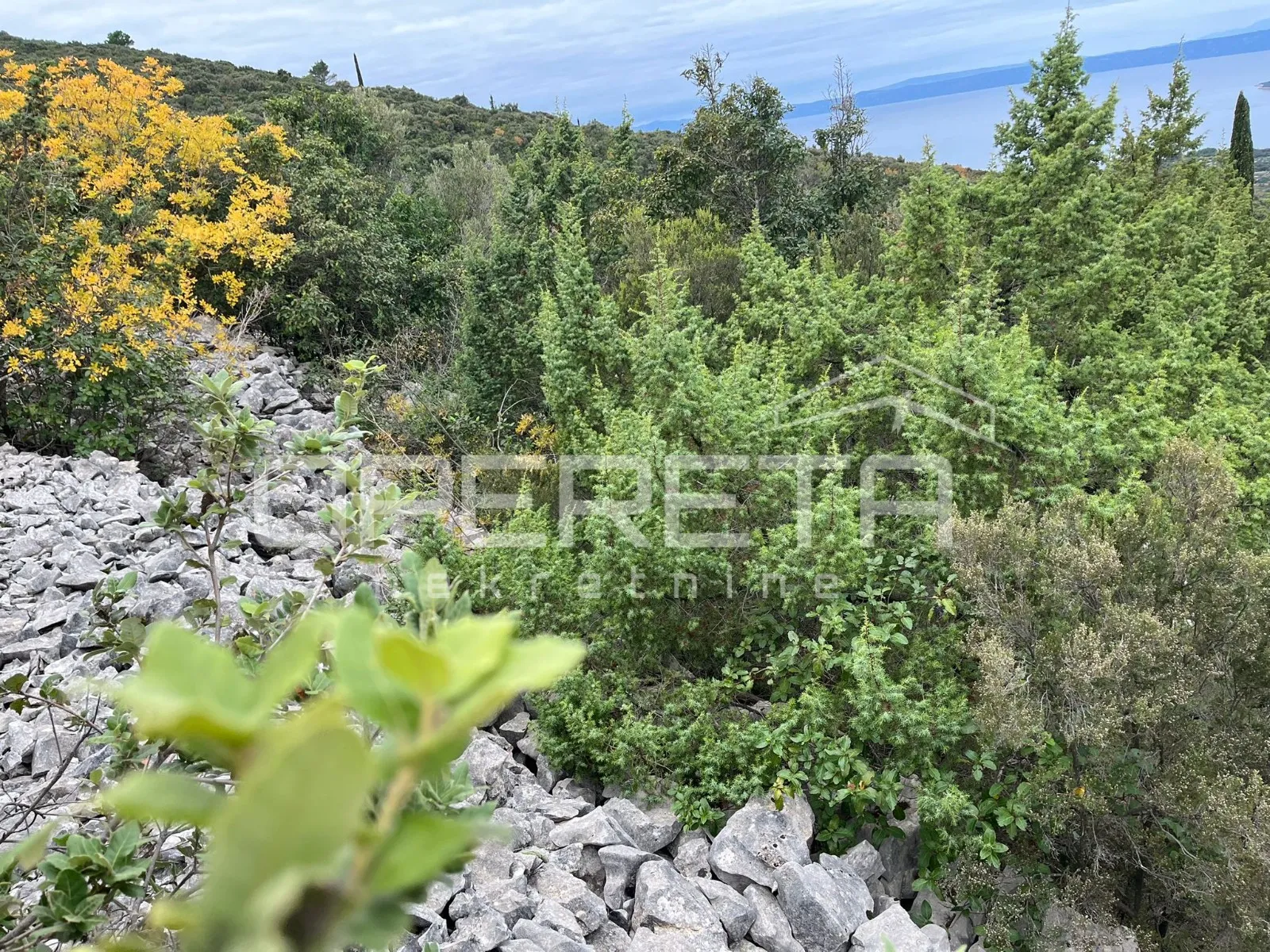 poljoprivredno zemljište s potencijalom – 9435 m2 u srcu prirode - slika 13