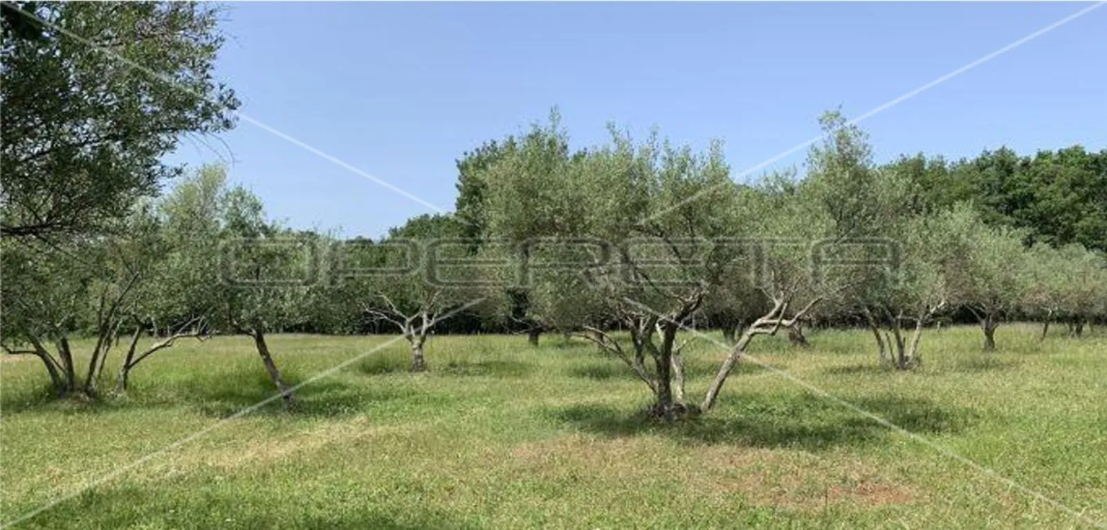 kršete, kršete, 22.586,00 m2, 490.000,00 eur - slika 2