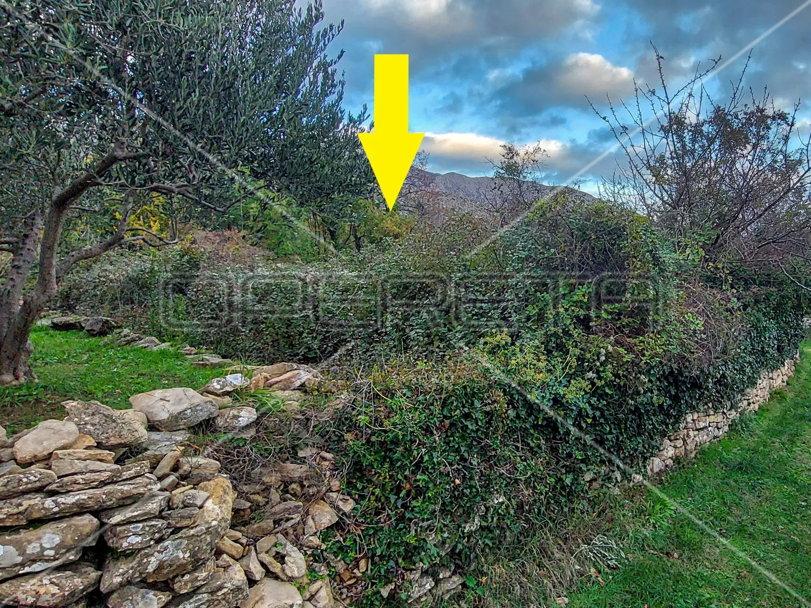 tugare, naklice, građevinsko i poljoprivredno zemljište 1.528 m2 - slika 2