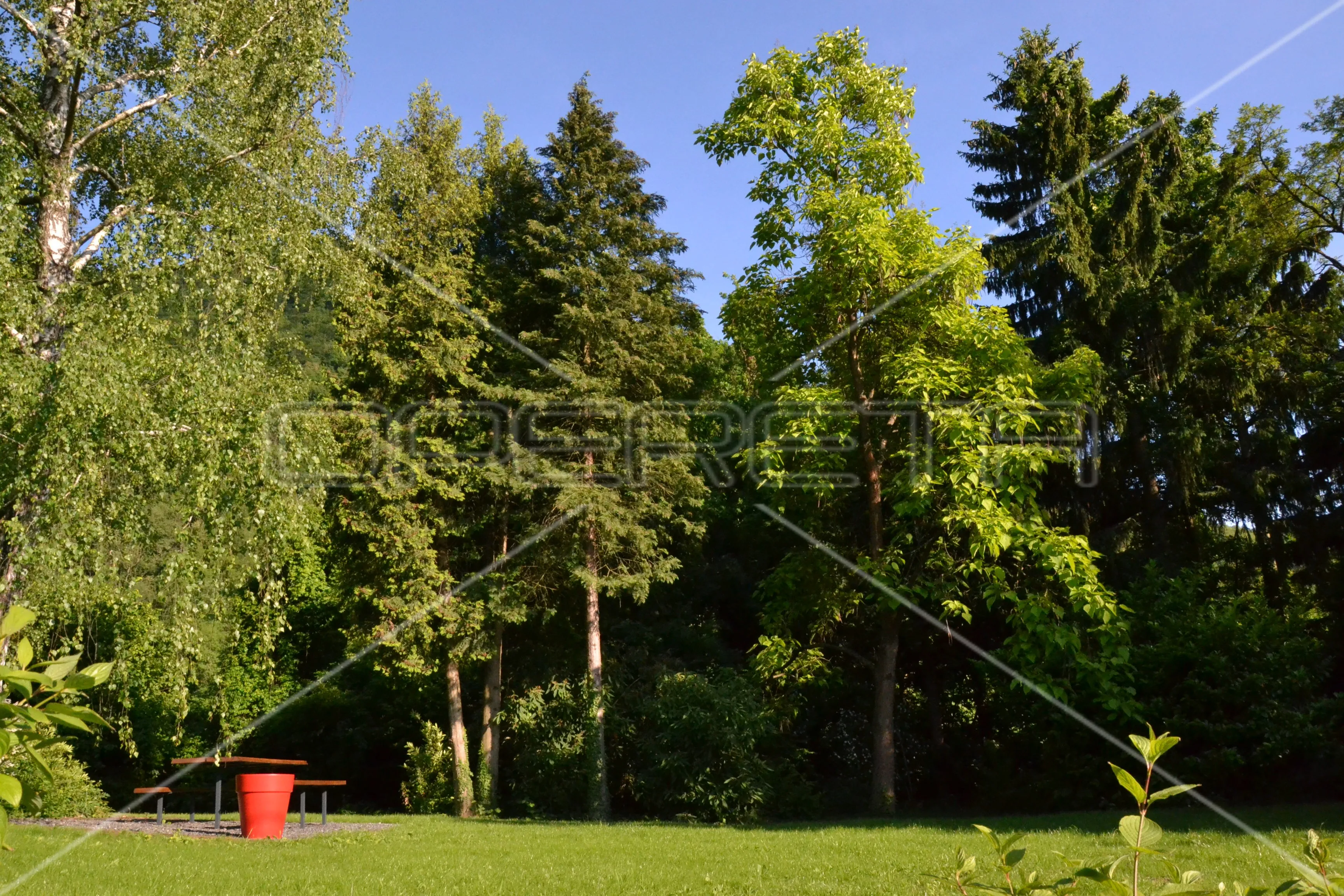 najam, kuća, jablanovec, vinski put, samostojeća, 240m2 - slika 3