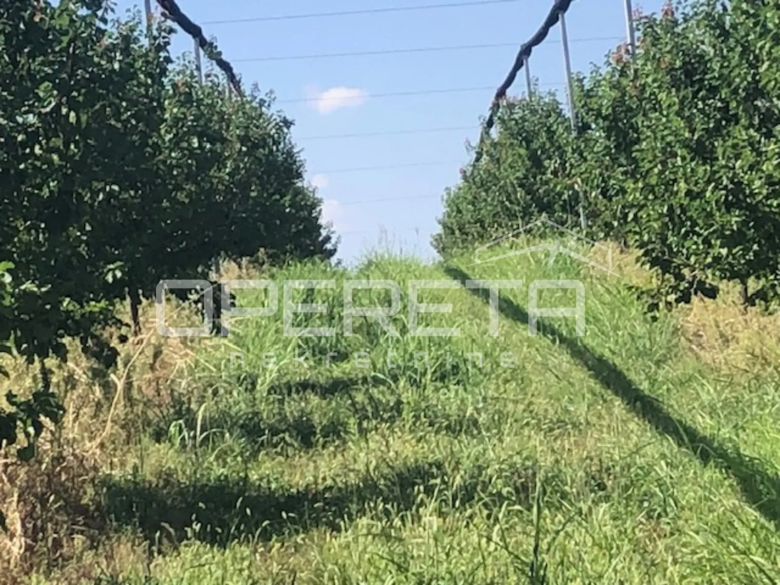 Banska Kosa, Zemljište, 2.200.000,00 EUR - Beli Manastir