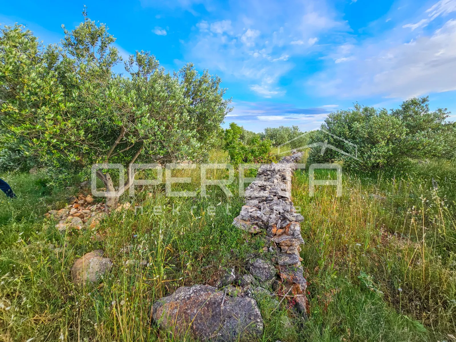 veliko poljoprivredno imanje na vrhu hvara s panoramskim pogledom - slika 23
