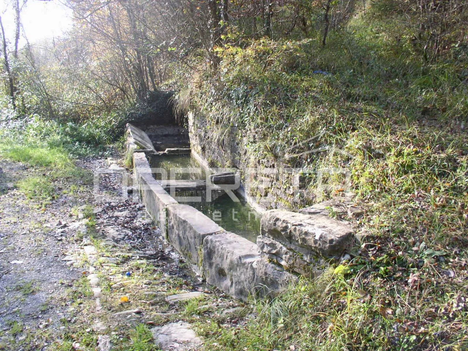 prodaja, kuća, motovun, livade, samostojeća, 200m2 - slika 8