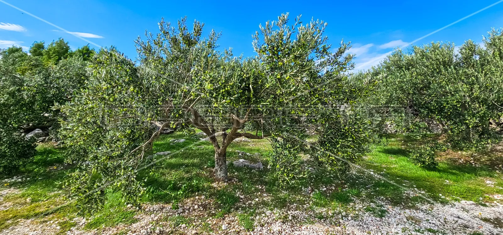 jedinstvena prilika, poljoprivredno zemljište s pogledom na more, 12.938m2 - slika 25