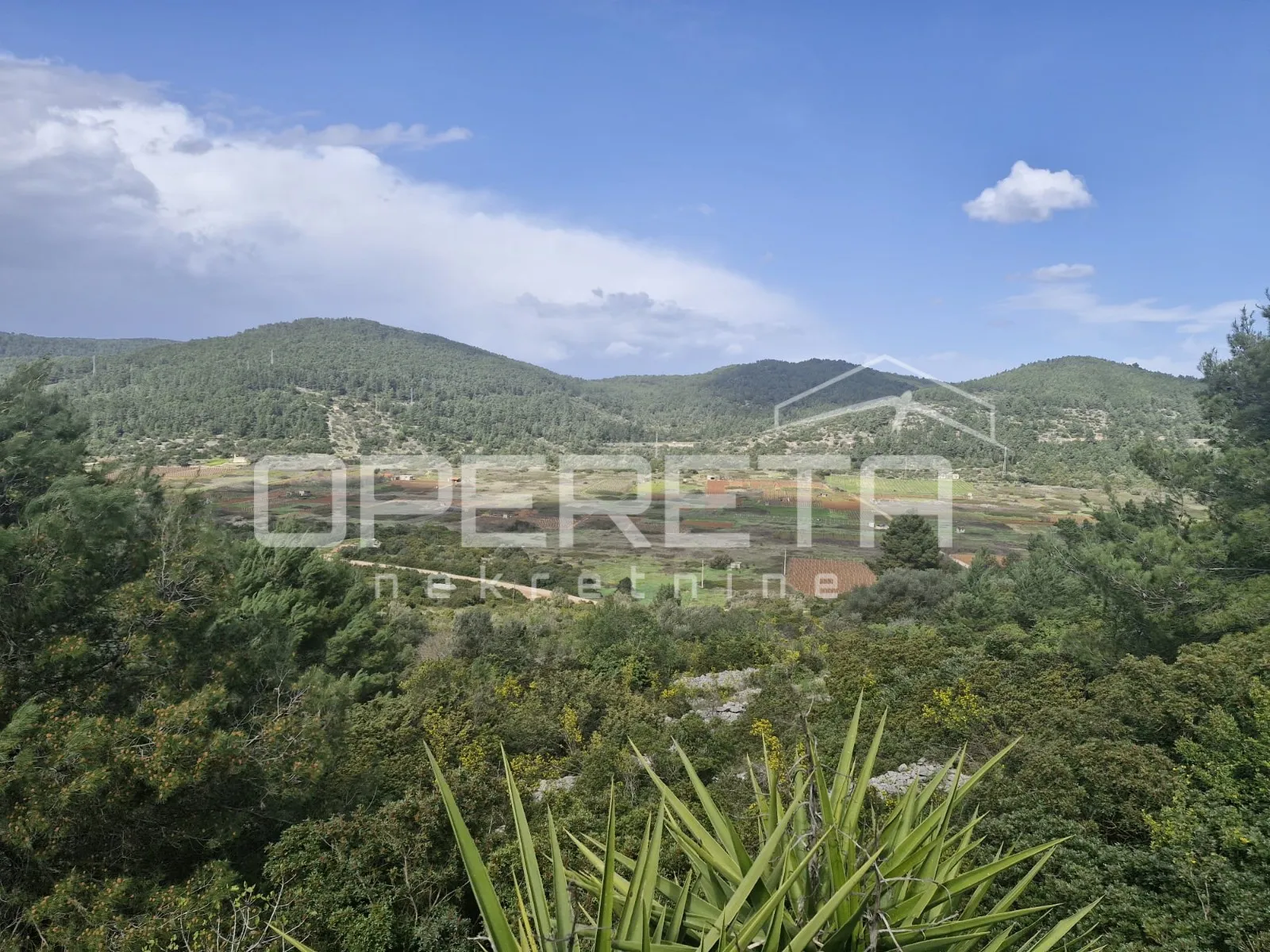 obiteljska kuća s pogledom na blatsko polje, blato, otok korčula - slika 20