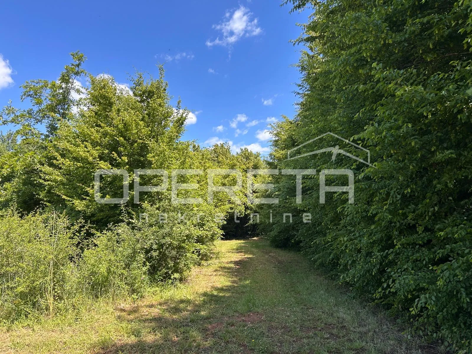 juršići, juršići, 2.449,00 m2, 83.000,00 eur - slika 2
