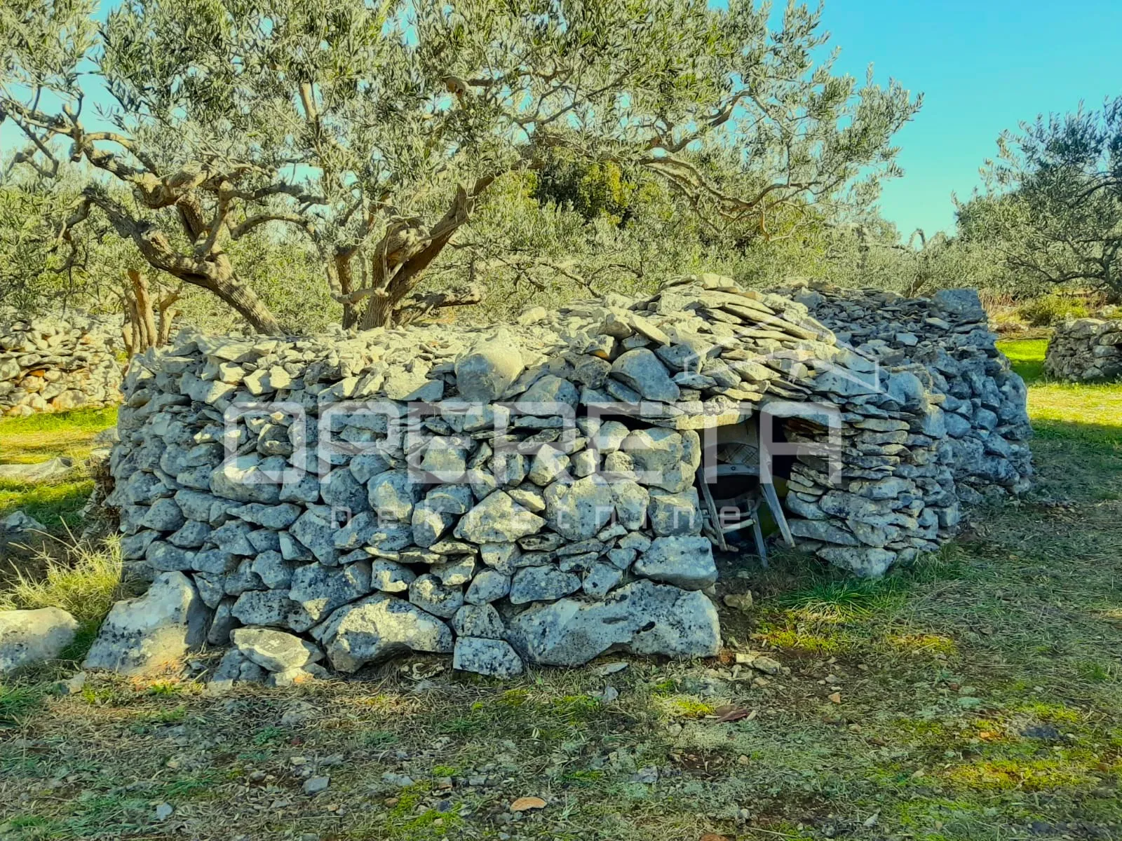 poljoprivredno zemljište, 4.834 m2, splitska, brač - slika 10