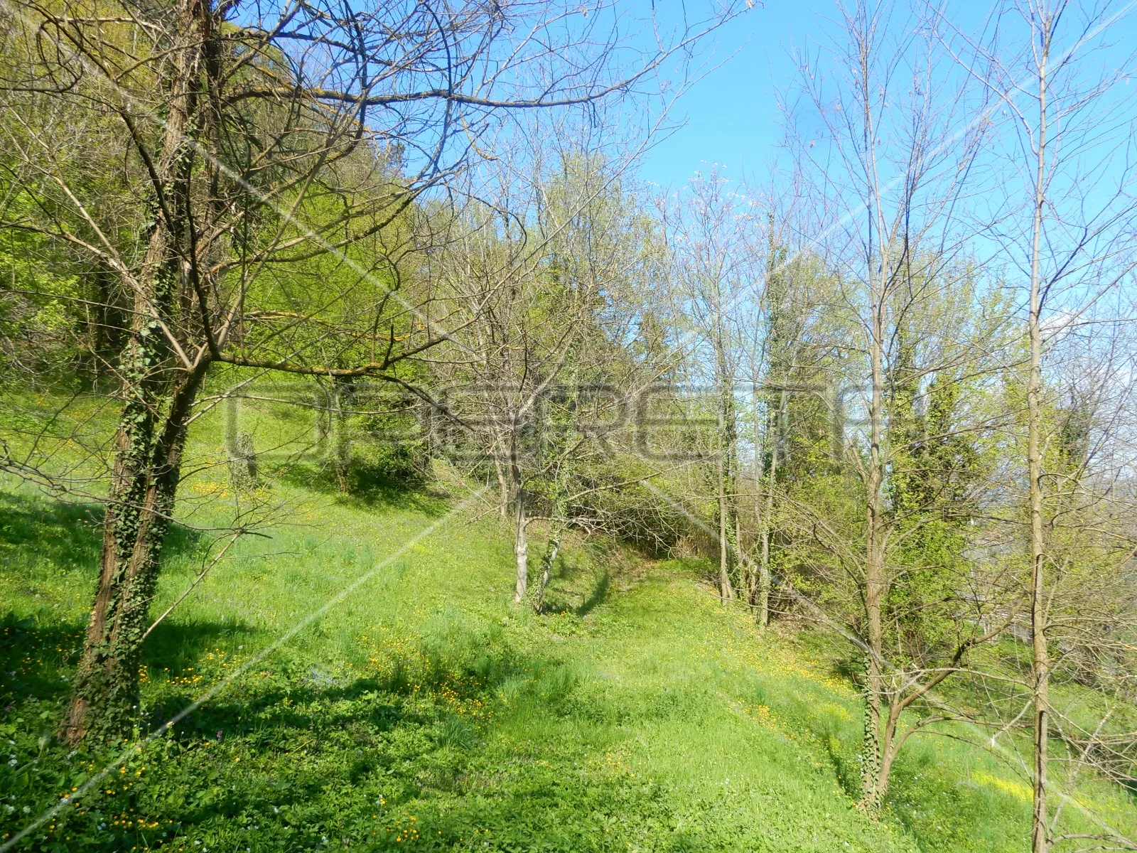 maje strozzi, samobor-centar, 3.544,00 m2, 1.063.200,00 eur - slika 7