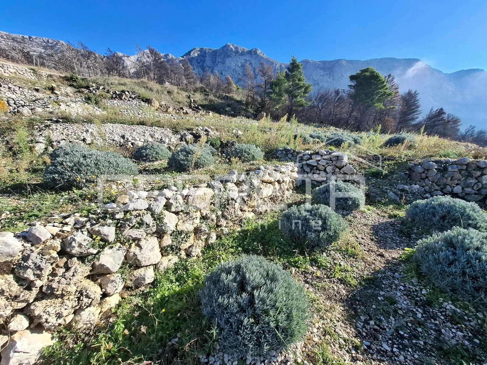 podgora - poljoprivredno zemljište s panoramskim pogledom - slika 6