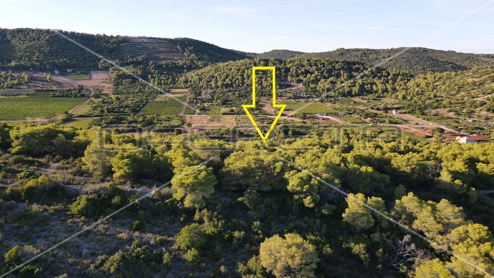 zemljište 4.105 m2, pravilan oblik i otovoren pogled na more, otok vis - slika 11