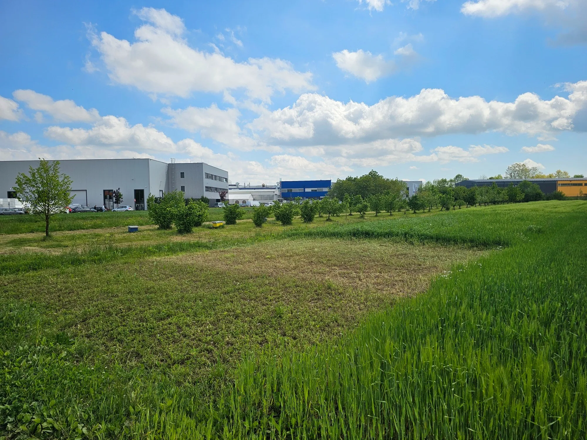 Gradna, Bobovica, 5.157,00 m2, 412.560,00 EUR
