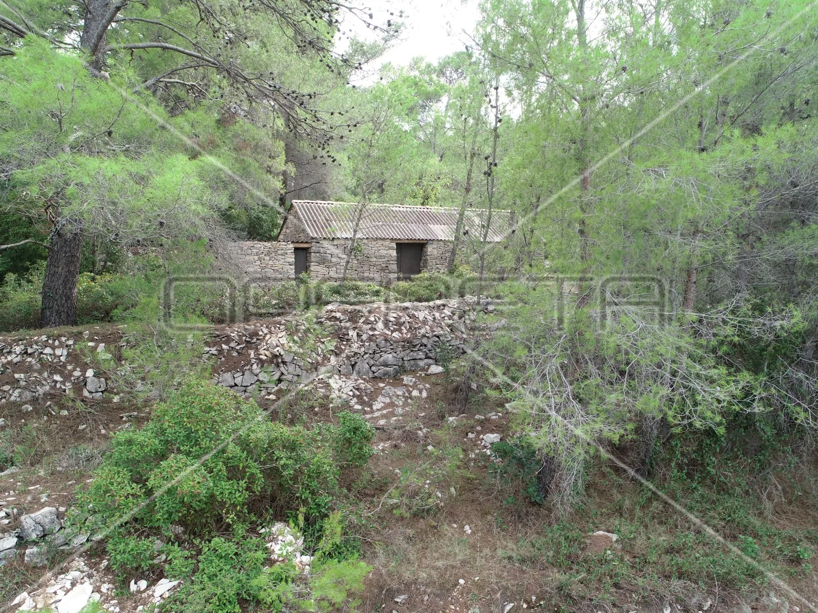poljoprivredno zemljište s kućom – prigradica, korčula - slika 5