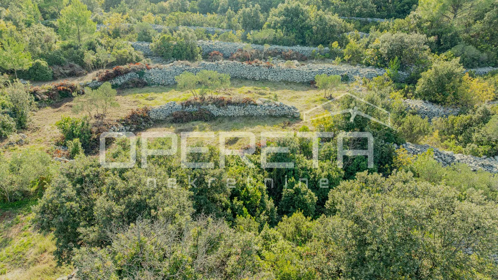 poljoprivredno zemljište od 3050 m2 s maslinama i suhozidima - slika 14