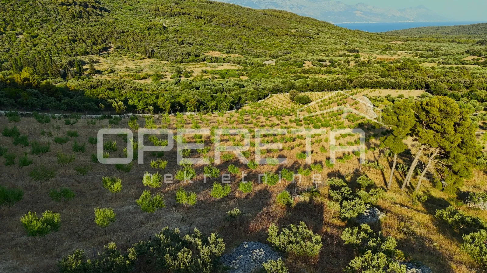 poljoprivredno zemljište s 500 badema i pogledom na more, brač - slika 6