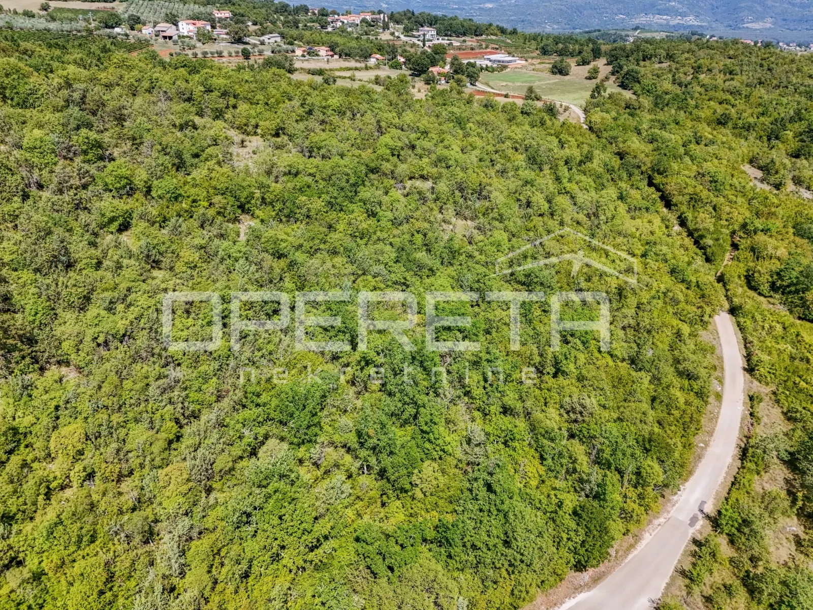 istra, šuma u okolici karojbe - slika 2