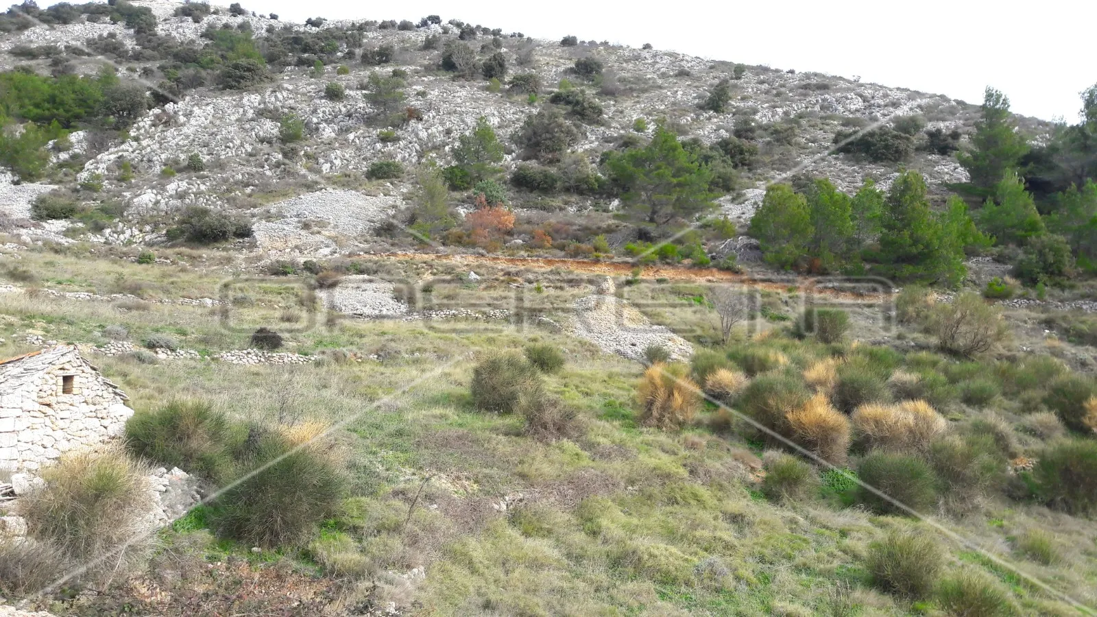 poljoprivredno zemljište s pogledom na more 27980 m2, bol, otok brač - slika 4
