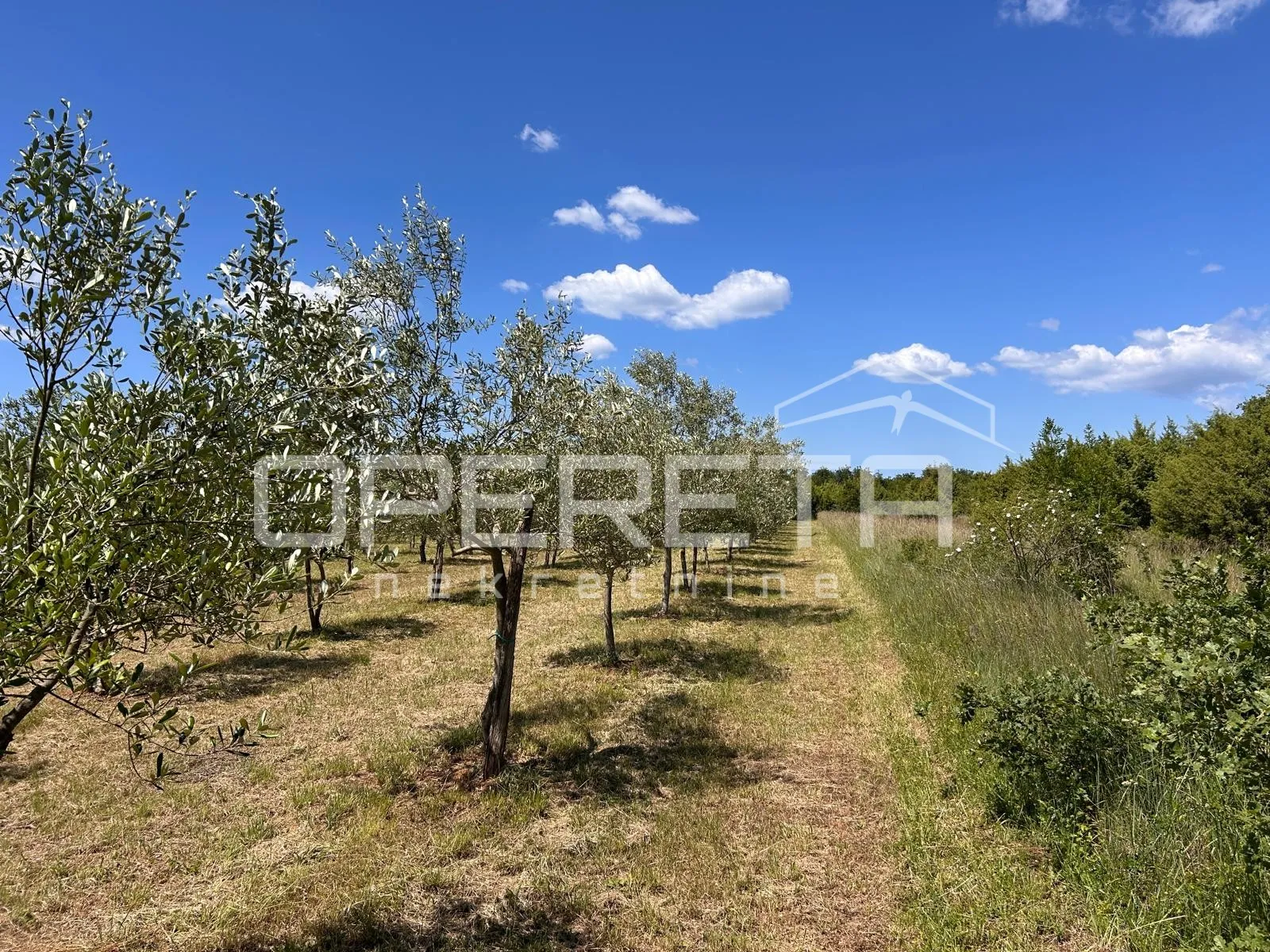 juršići, juršići, 2.449,00 m2, 83.000,00 eur - slika 4