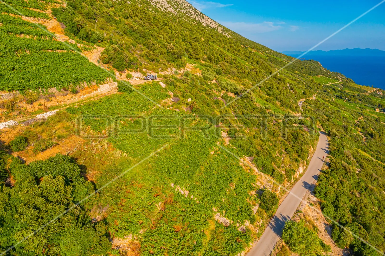 zemljište, 12.257 m2, dingač, pelješac, 40 eur/m2 - slika 11
