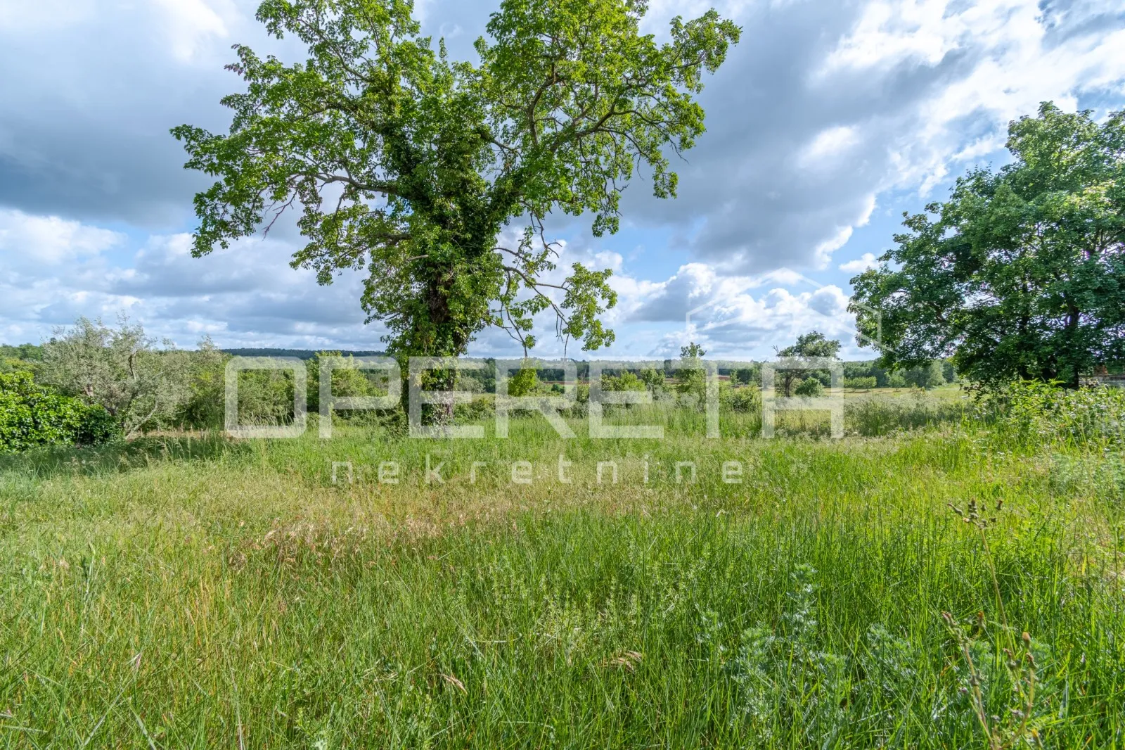 istra, vižinada okolica- građevinsko zemljište - slika 3